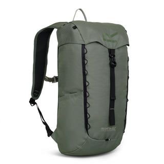 Survivor V 20L Backpack | Four Leaf Clover