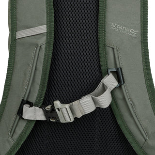 Survivor V 20L Backpack | Four Leaf Clover