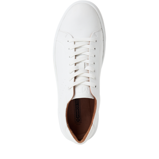 Torano Casual Shoe | White