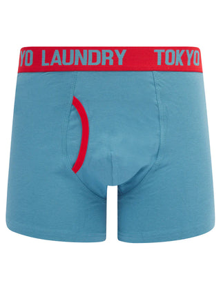 Budworth 2 Pack Boxers Red Grey