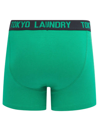 Budworth 2 Pack Boxers Navy Green