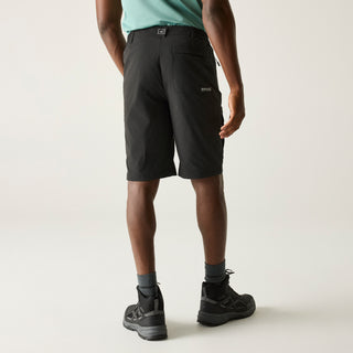 Men's Highton II Long Walking Shorts | Ash Grey