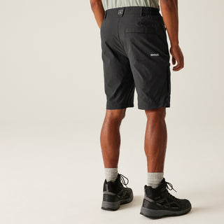 Men's Highton II Long Walking Shorts | Ash Grey