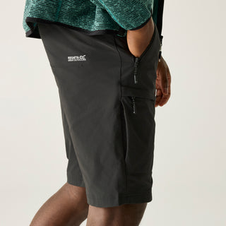 Men's Highton II Long Walking Shorts | Ash Grey